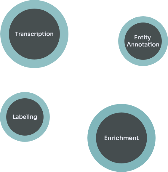 Domain Expert Annotation Semantic Minds - Data-Driven Marketing Solutions